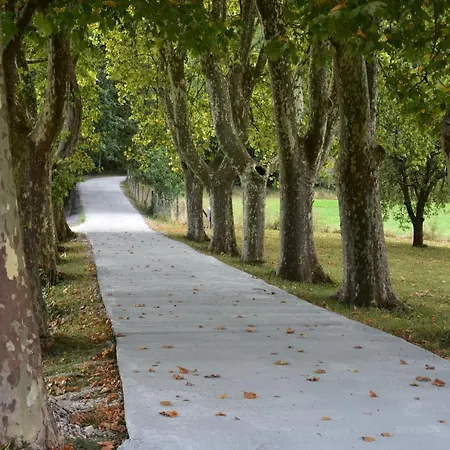 Bed & Breakfast Domaine De Calbiac 3*