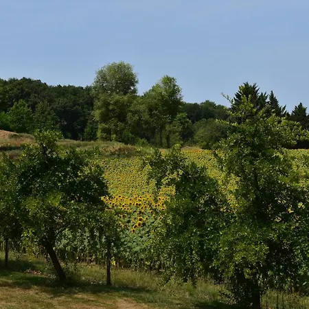 Bed & Breakfast Domaine De Calbiac 3*