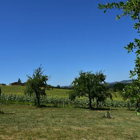 Domaine De Calbiac Dolmayrac